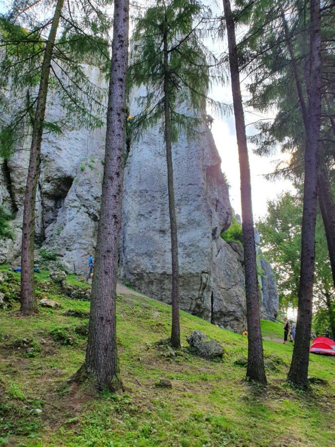 Pokoje Przy Zamku Podzamcze  Esterno foto