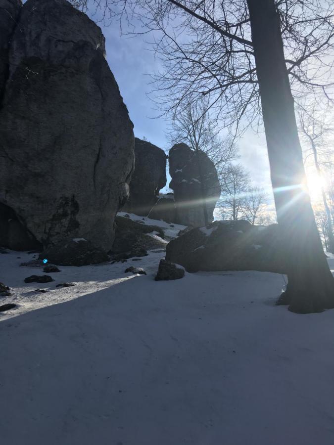 Pokoje Przy Zamku Podzamcze  Esterno foto
