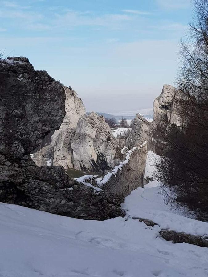 Pokoje Przy Zamku Podzamcze  Esterno foto
