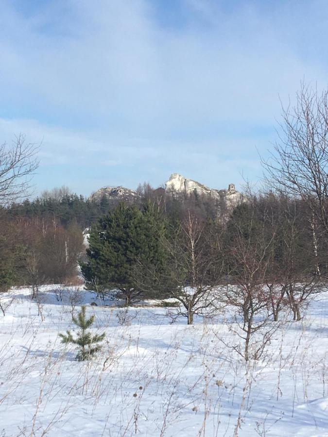 Pokoje Przy Zamku Podzamcze  Esterno foto