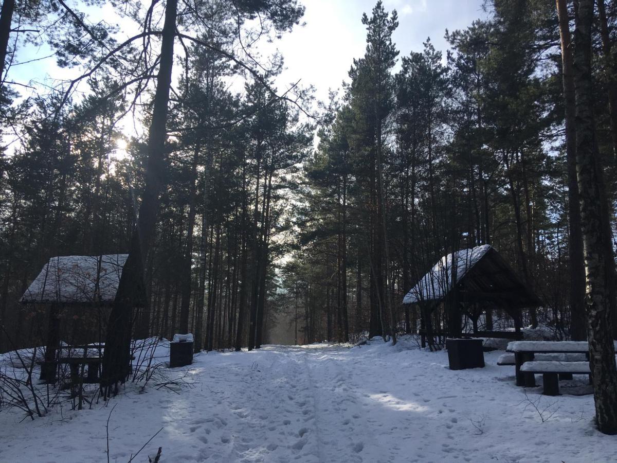 Pokoje Przy Zamku Podzamcze  Esterno foto