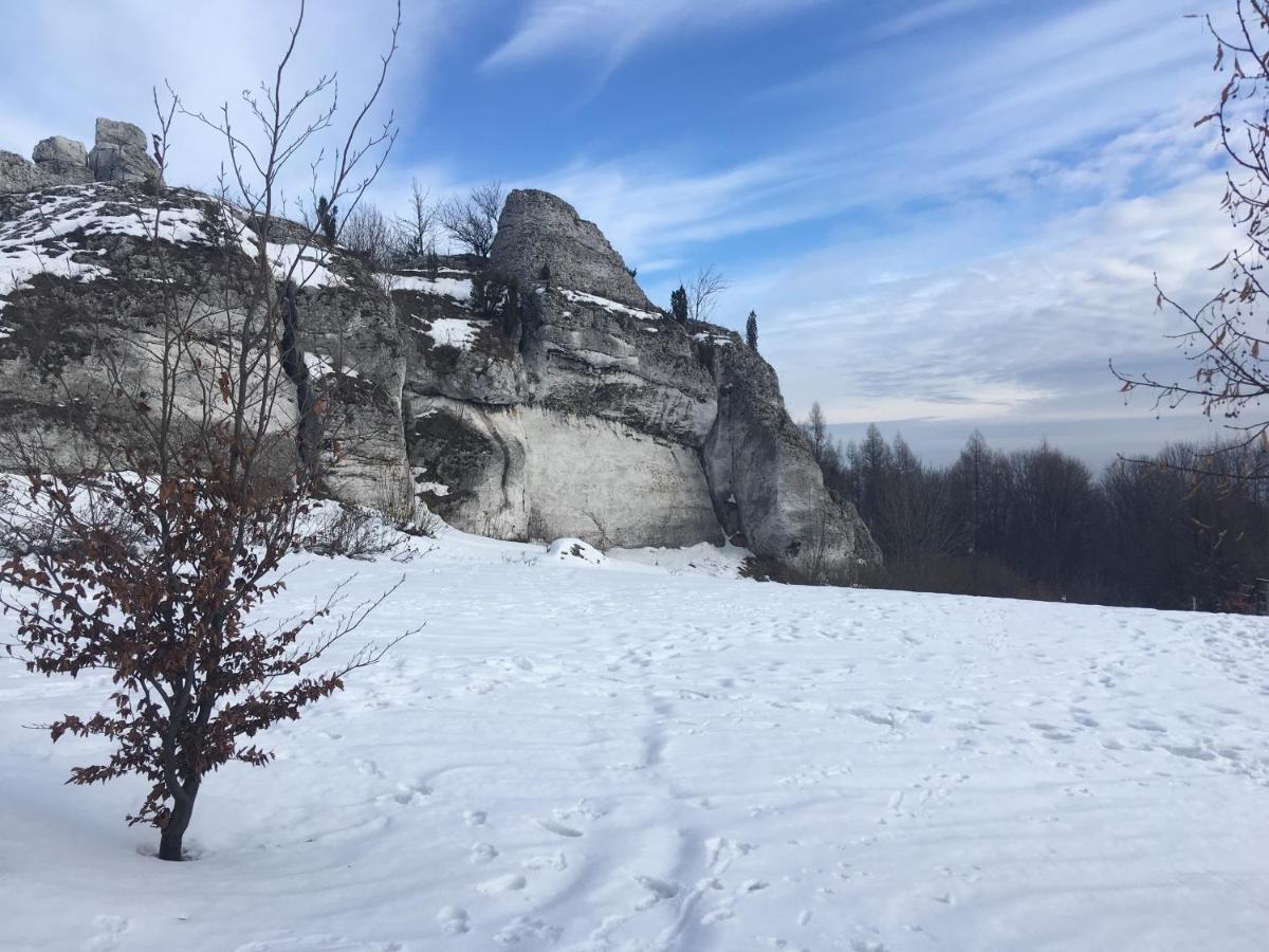 Pokoje Przy Zamku Podzamcze  Esterno foto