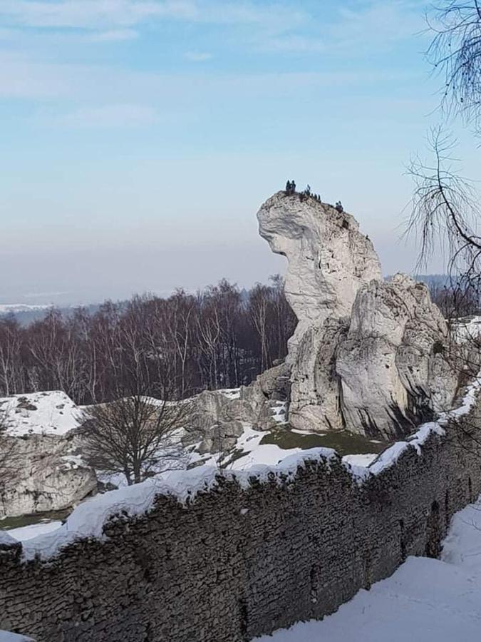 Pokoje Przy Zamku Podzamcze  Esterno foto