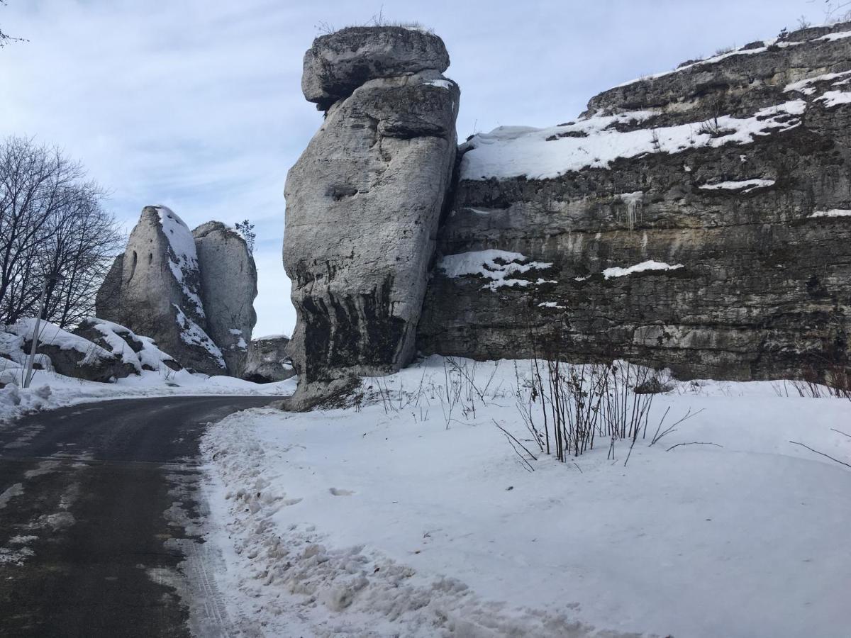 Pokoje Przy Zamku Podzamcze  Esterno foto