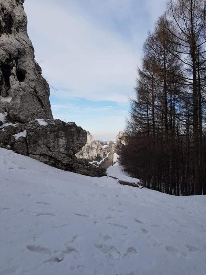 Pokoje Przy Zamku Podzamcze  Esterno foto